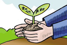 企南針 專業知識產權服務，為您的創新成果保駕護航