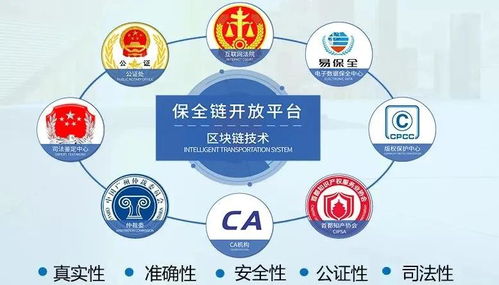 上海發布知識產權強市建設綱要 區塊鏈賦能政務服務，開啟知識產權保護新篇章