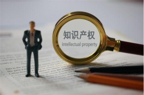 健全知識產(chǎn)權(quán)保護制度，賦能中小企業(yè)創(chuàng)新發(fā)展——解讀十七部門聯(lián)合發(fā)文支持中小企業(yè)發(fā)展新舉措