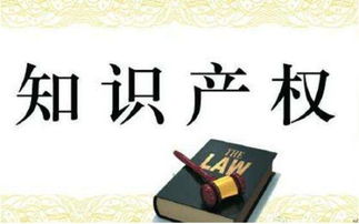 知識產(chǎn)權(quán) 創(chuàng)新驅(qū)動發(fā)展的核心引擎與專業(yè)服務(wù)體系