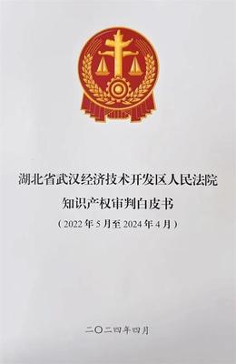 武漢經開法院發布首份知識產權審判白皮書 為創新發展注入司法動能